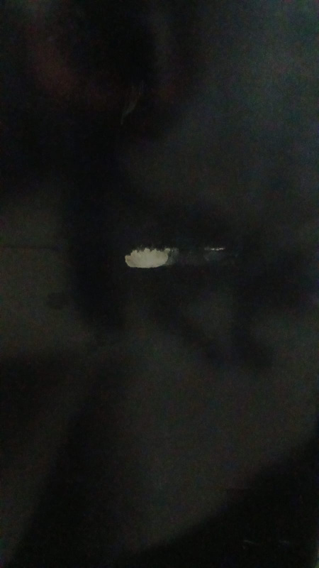 Топливный бак КамАЗ 250 л. (№ 767963)